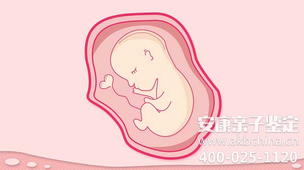 衡水意外怀孕想做亲子鉴定，要等孩子出生后才能做鉴定吗？ 